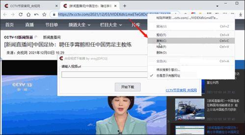 贺磊直播爆料视频下载软件,下载软件背后的秘密与技巧